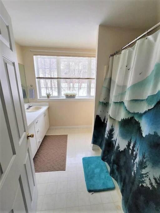 Spacious 3BR 3BA Sleeps 8 Ski On Off Jiminy Mountain Resort Hancock Exterior foto